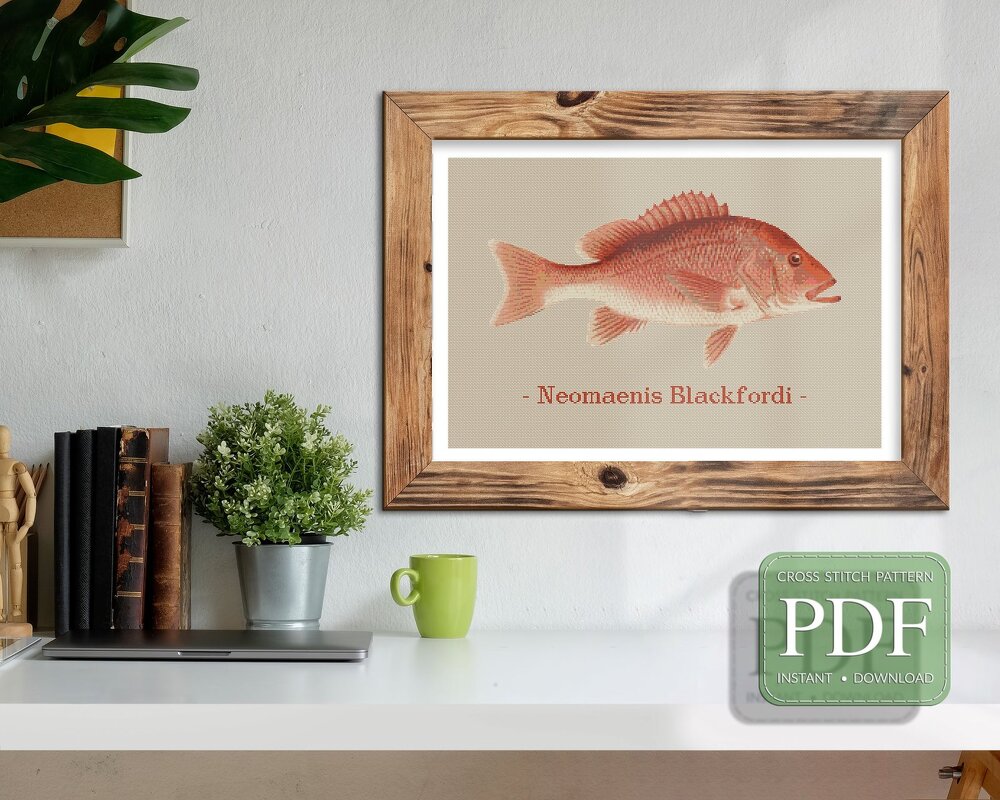 cross stitch pattern Red Snapper - Image 9