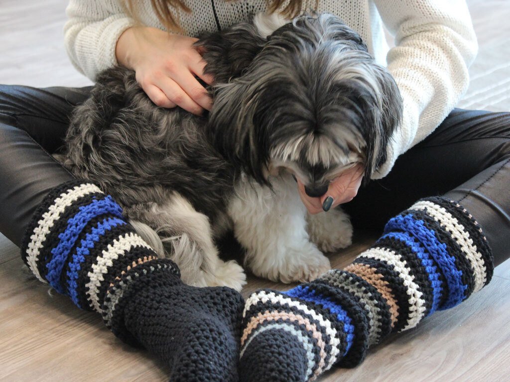 Gehäkelte gestreifte Beinstulpen über dunklen Socken; sitzende Person streichelt kleinen Hund.
