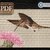 Hummingbird > Cross Stitch Pattern PDF