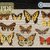 Butterflies > Cross Stitch Pattern PDF