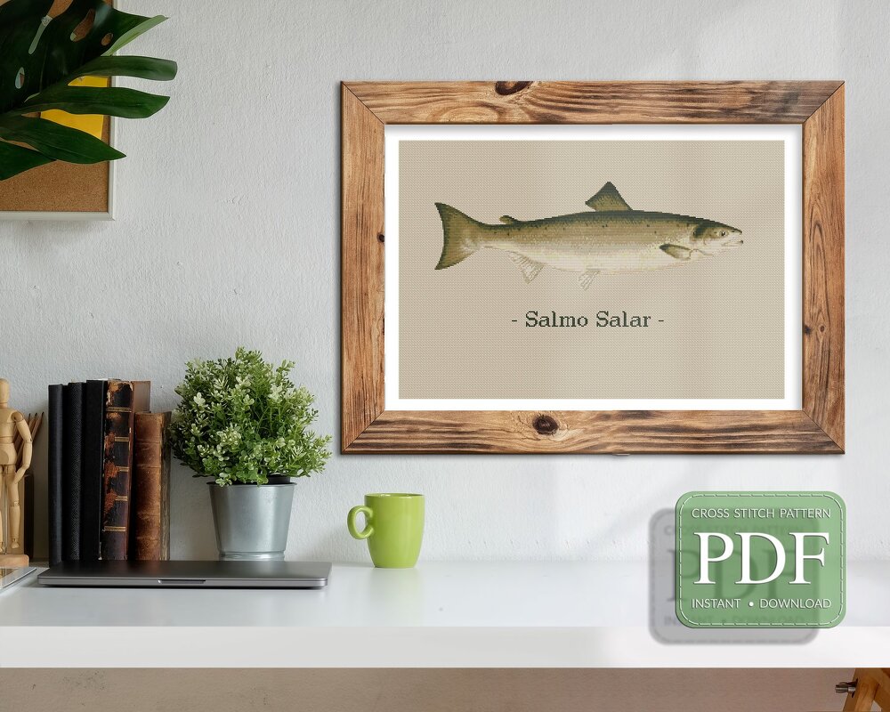 Atlantic Salmon > Cross Stitch Pattern PDF - Image 2