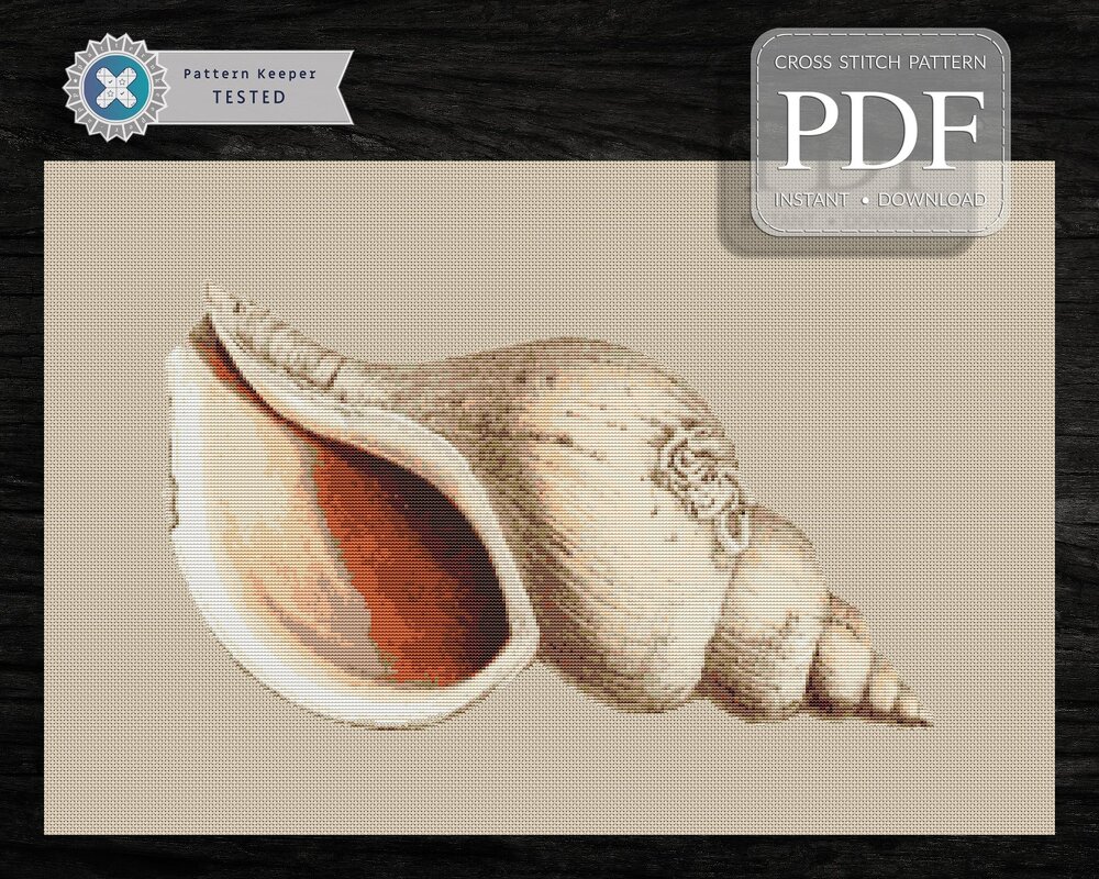 Conch > Cross Stitch Pattern PDF