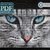 Cool Cat > Cross Stitch Pattern PDF