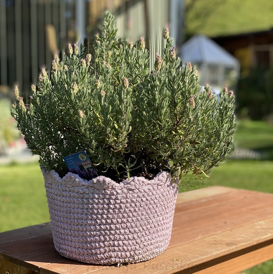 Blumentöpfe für Garten, Terrasse oder Balkon häkeln… häkeln, häkeln!