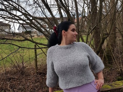 Anleitung Einfacher RVO-Pullover