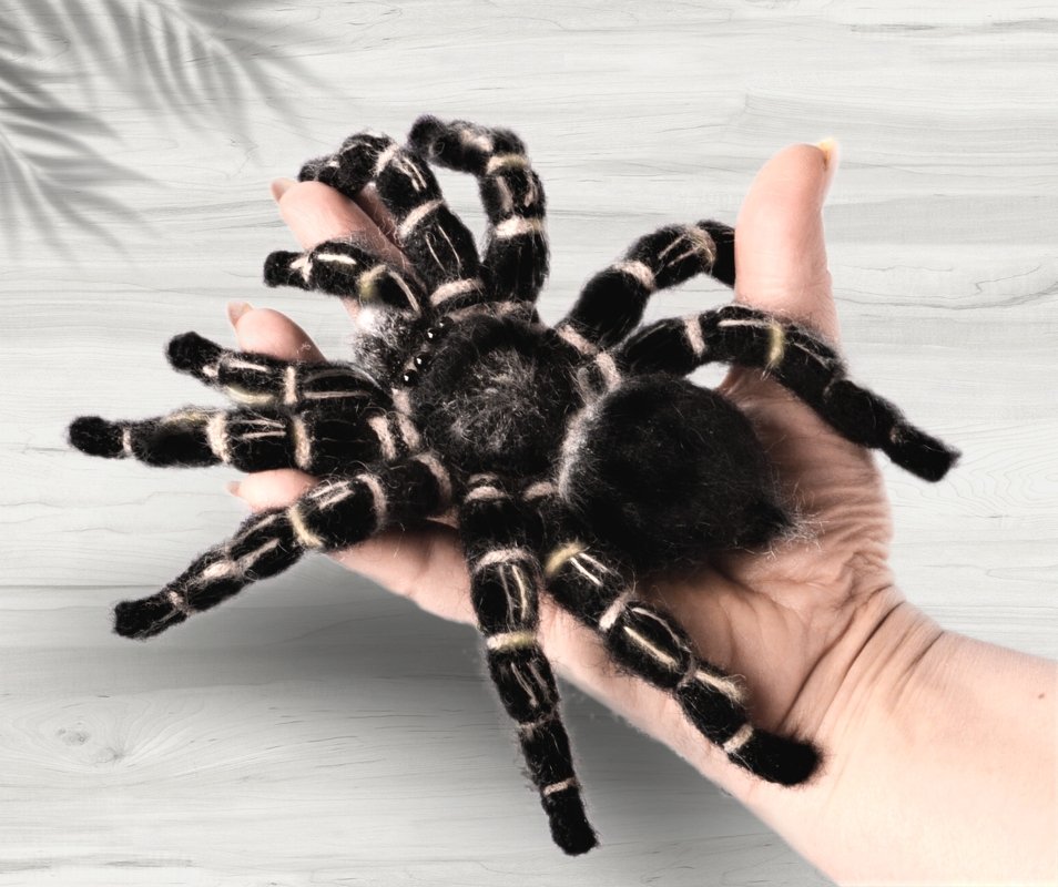 Crocheted Zebraknee Tarantula. Amigurumi pattern.