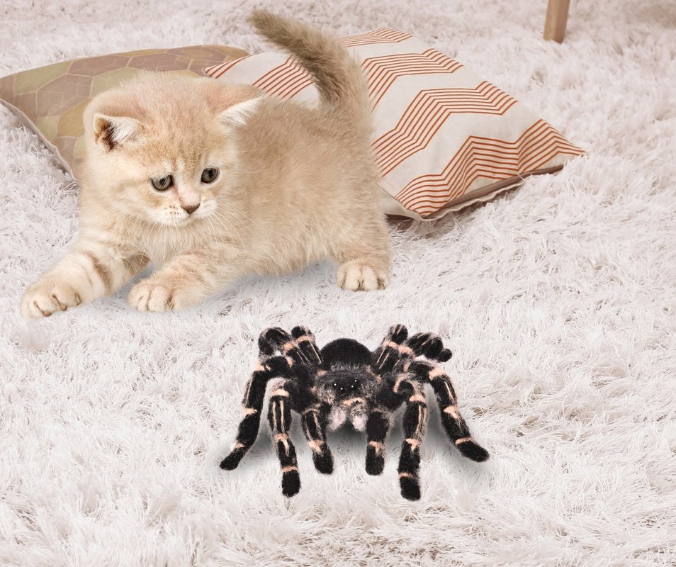 Crocheted tarantula amigurumi toy with black and tan markings on white rug, cream kitten nearby