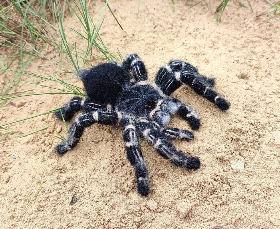 Black and white crocheted spider amigurumi with striped legs on sand