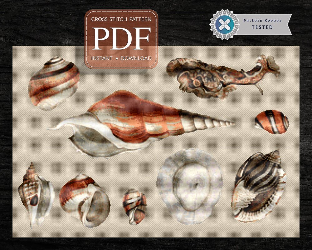 Shell Species > Cross Stitch Pattern PDF