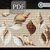 Conch Collection > Cross Stitch Pattern PDF