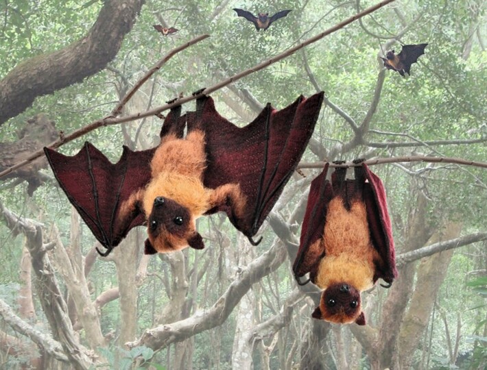 Crocheted  Large Flying Fox. Amigurumi Bat pattern.