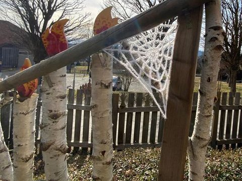 Spinnennetz  auch für den Garten & Balkon