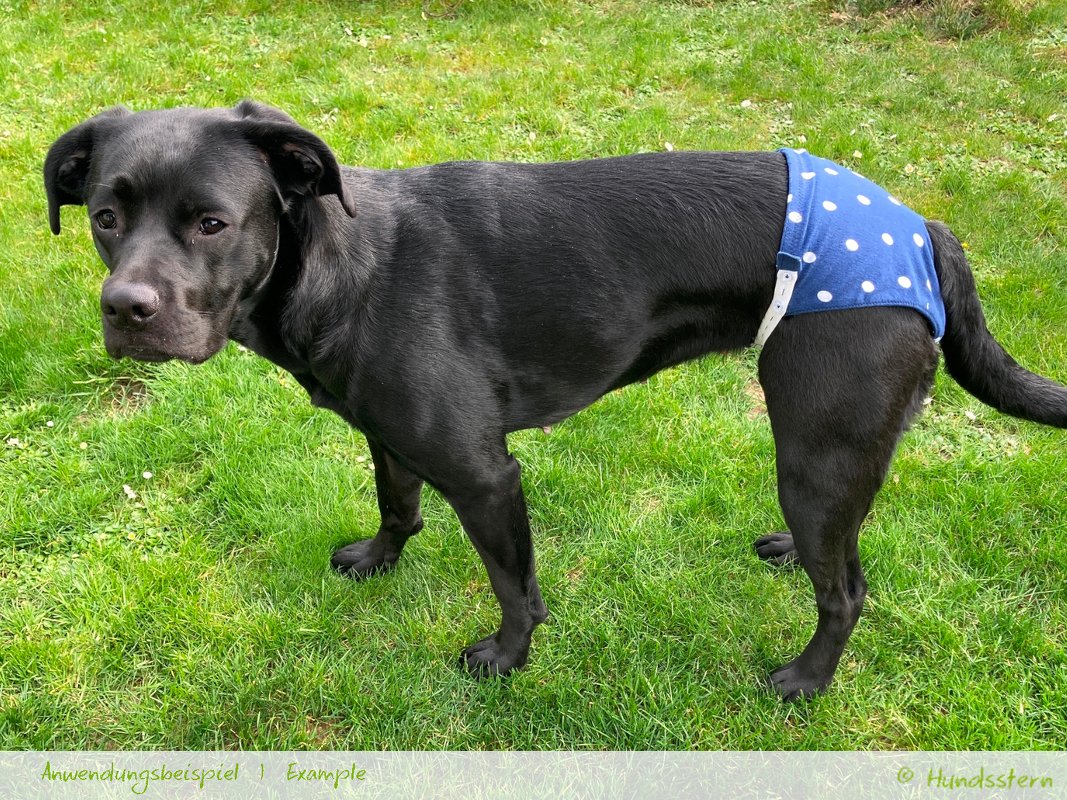 COLLEEN protective pants, XS-XXL, sewing pattern - Image 3