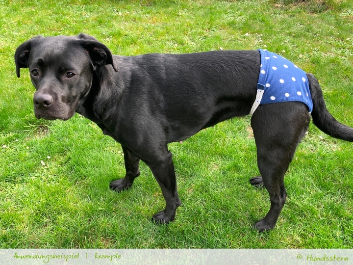 COLLEEN Schutzhöschen, XS-XXL, Anleitung+Schnitt