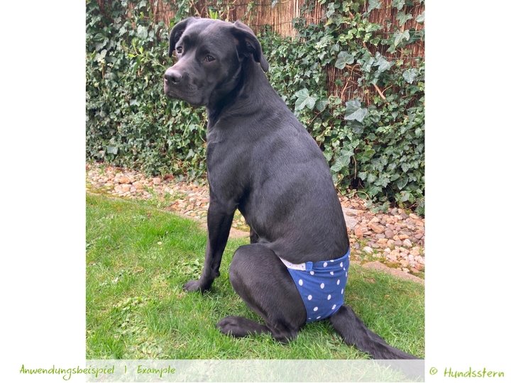 COLLEEN Schutzhöschen, XS-XXL, Anleitung+Schnitt