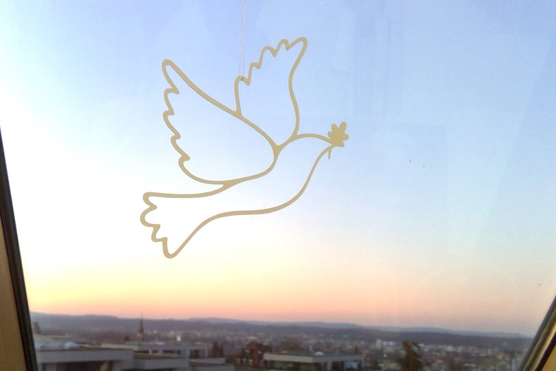 Taube Kontur Plotterdatei SVG DXF