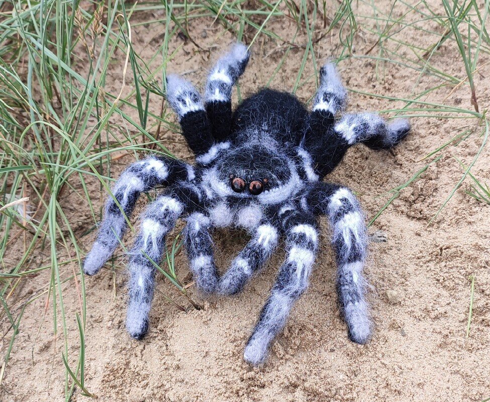 Crocheted Brazilian Whiteknee tarantula. Crochet pattern - Image 3