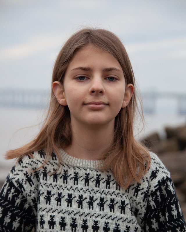 Animal Antics Pullover - Machine Knitting Pattern - Image 3