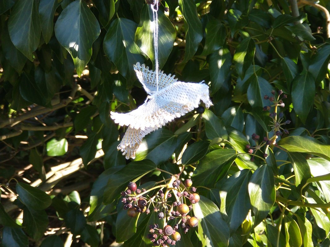 Anleitung geklöppelte Taube