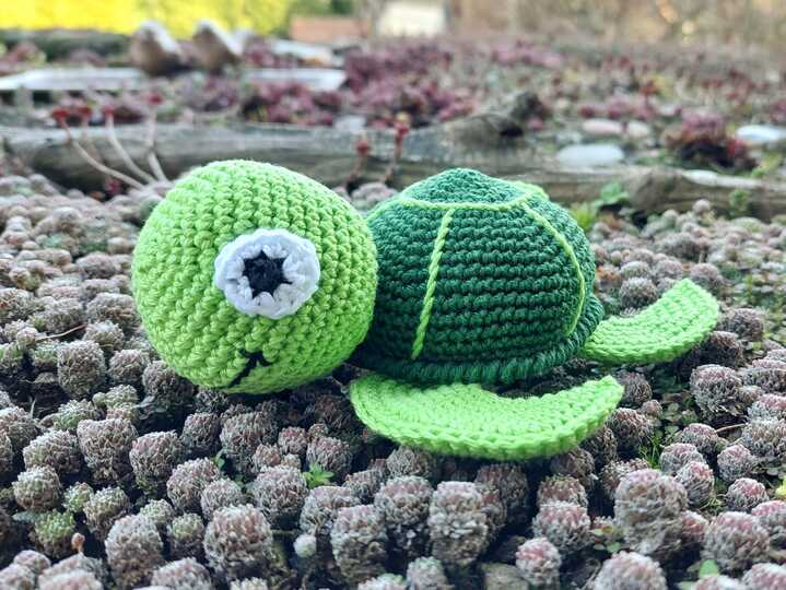 Schildkröte Lilli Häkelanleitung