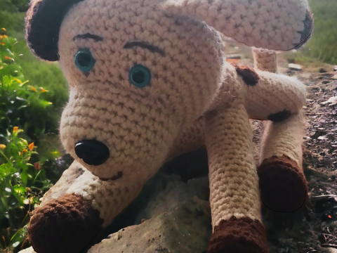 Anleitung Hund Happy