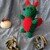 Drache Amigurumi