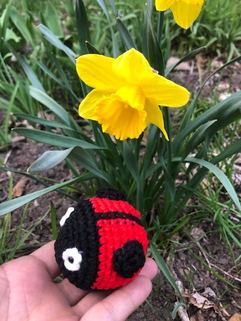 Hand hält gehäkelten roten und schwarzen Marienkäfer-Anhänger vor gelber Narzisse