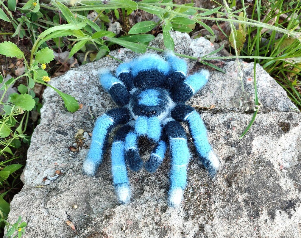 Crocheted Blue Spider| Amigurumi tarantula| Crochet pattern - Image 3