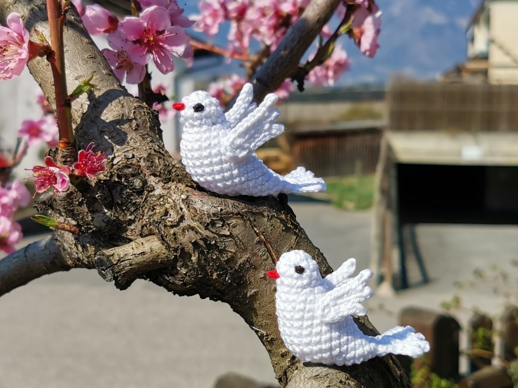 Verliebte Friedenstauben Häkelanleitung - Bild 5