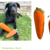 CARROT Dog Toy, 2 sizes, sewing pattern