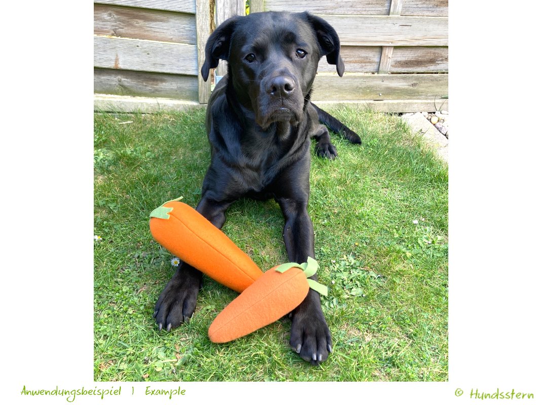 CARROT Dog Toy, 2 sizes, sewing pattern - Image 2
