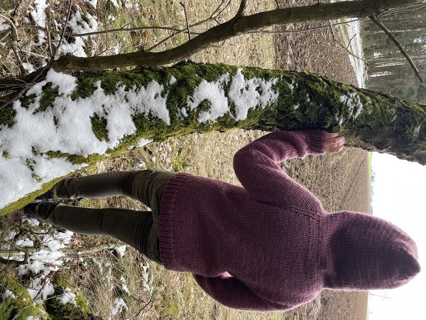 Rückenansicht einer Person in bordeauxroter, gestrickter Kapuzenjacke, lehnt an moosigem Baumstamm mit Schneeresten