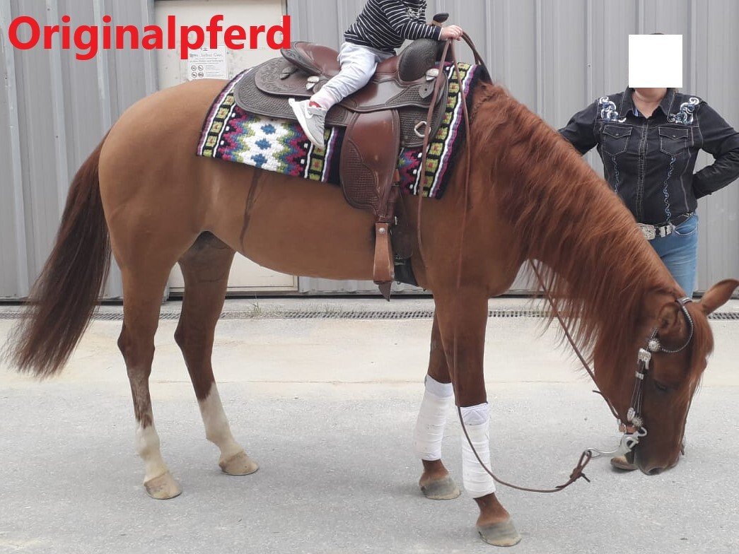 Pferd Stardust - Realistisches Pferd - Amigurumi Häkelanleitung