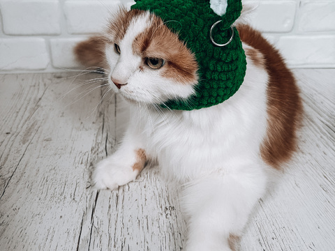 Balaclava with ears for cats and small dogs crochet pattern PDF