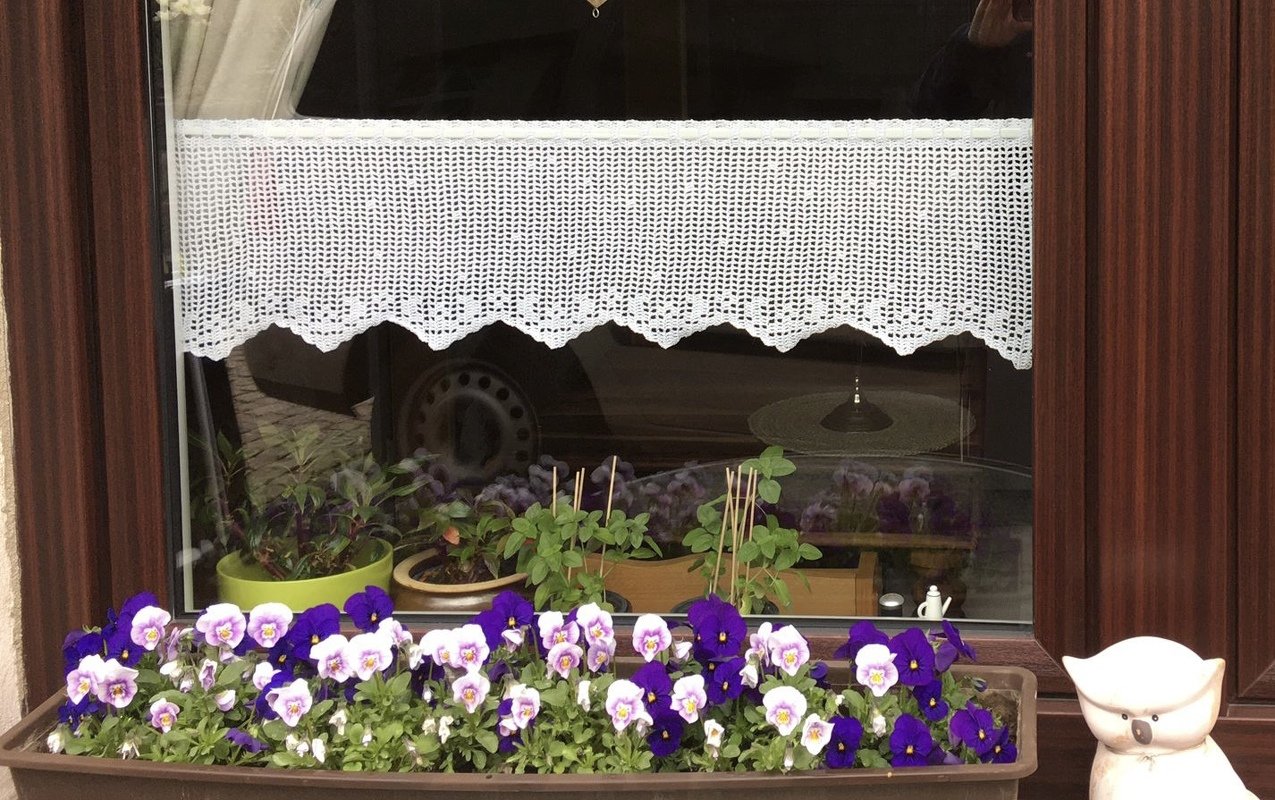 Weiße gehäkelte Scheibengardine mit gezackter Spitze, Fensterbank mit violetten Stiefmütterchen und Keramikfigur