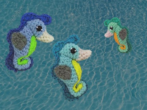 kleines Seepferdchen