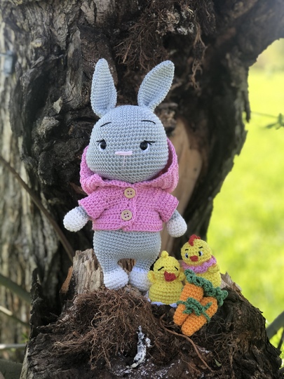Häkelanleitung Hase Lucky mit Kapuzenjacke und Freundin Zippa , Amigurumi