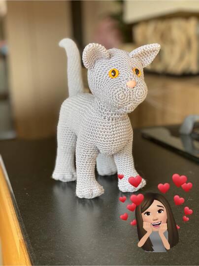 Haakpatroon Froggel Kat Poes PDF