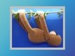 Slide 5 von 8