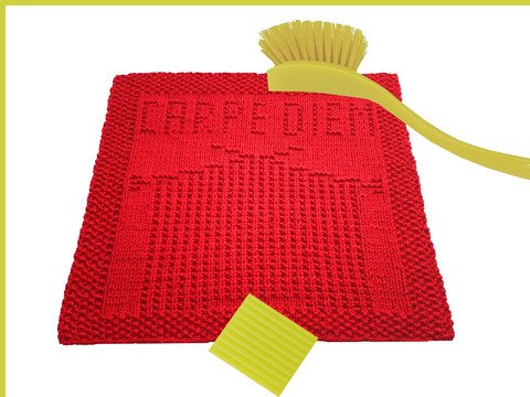 2 Spültuch Waschlappen Deckchen Motive CARPE DIEM + STRICKSTUBE Anleitungen