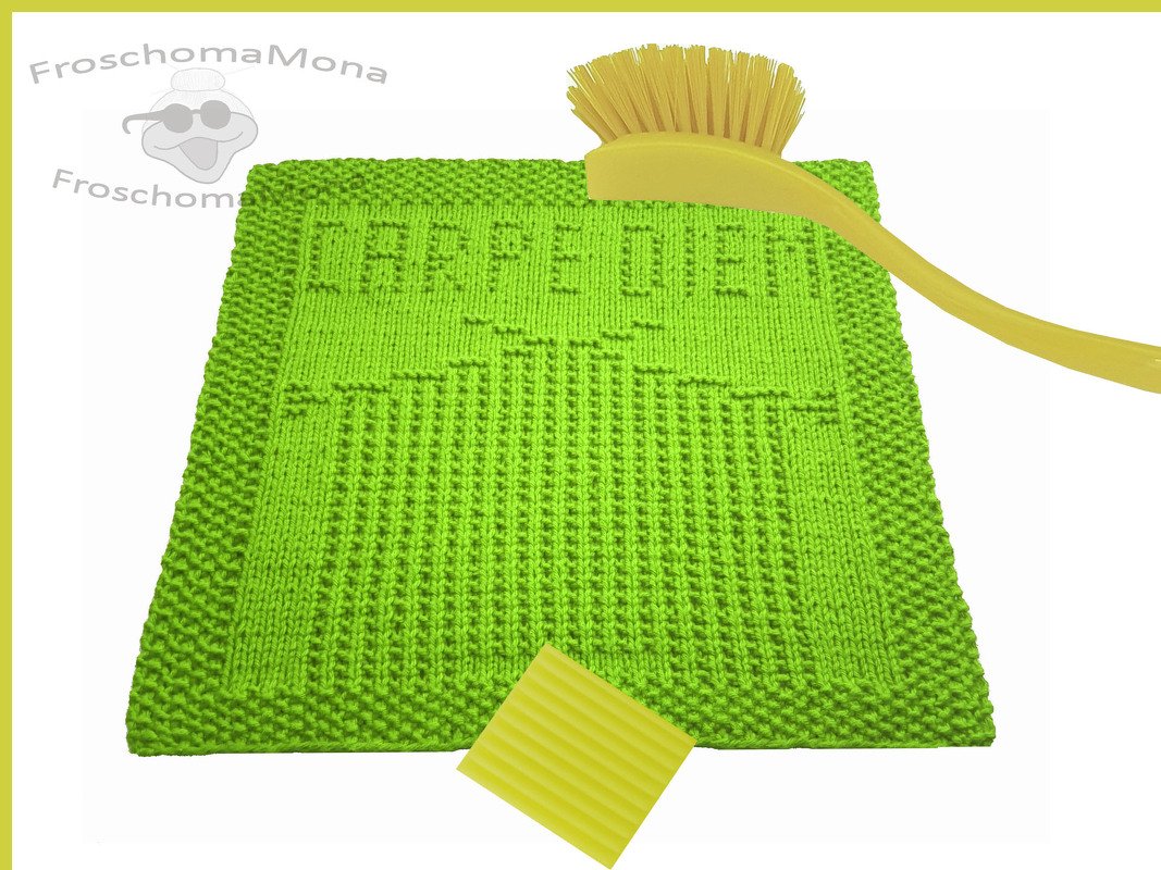 2 Spültuch Waschlappen Deckchen Motive CARPE DIEM + STRICKSTUBE Anleitungen