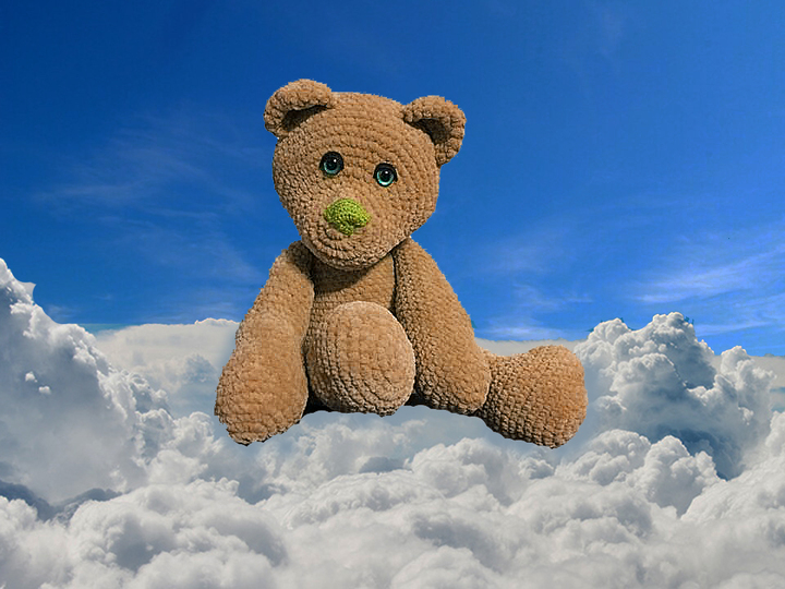 Best Friend Samtweich Teddy