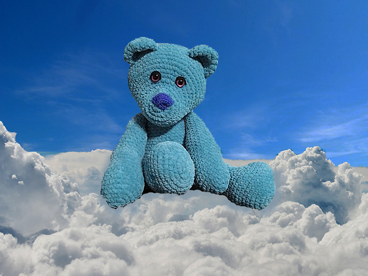 Best Friend Samtweich Teddy