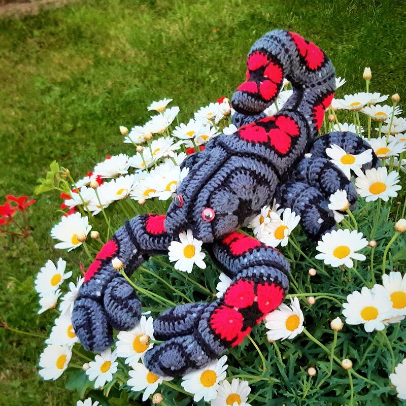Grey and red crocheted scorpion amigurumi with pink round eyes resting on white daisies.
