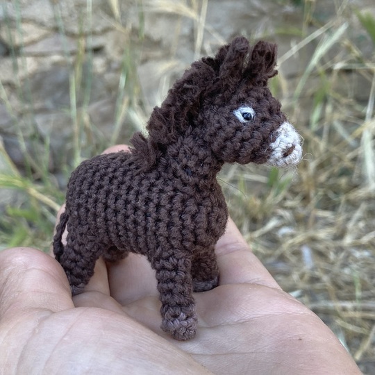 Donkey Emma amigurumi crochet Pattern