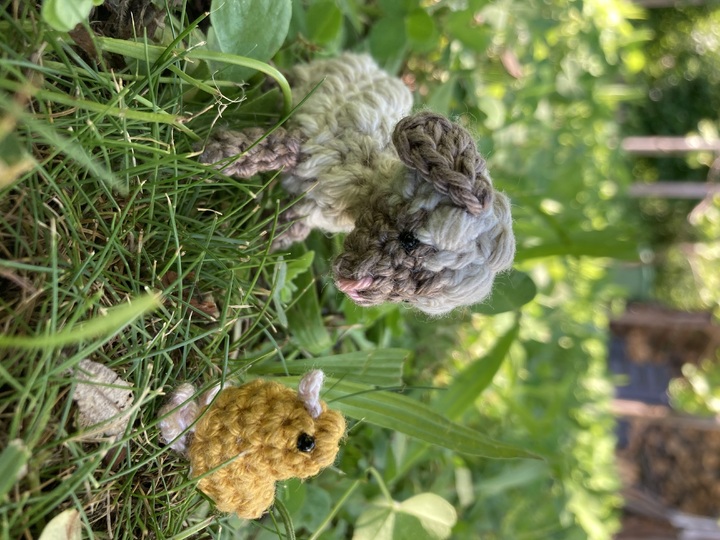 Sheep Betty amigurumi crochet pattern