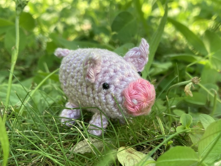 Schwein Lotti Häkelanleitung