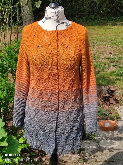 Sparset: Ajour-Top, Ajour-Shirt und Ajour-Jacke bis Größe XXXXL