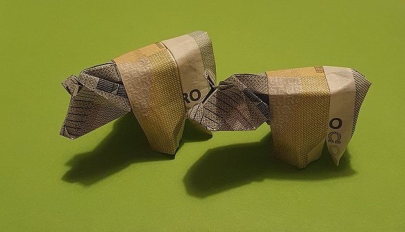 Origami Geldschein Bär (***) - Bild 6