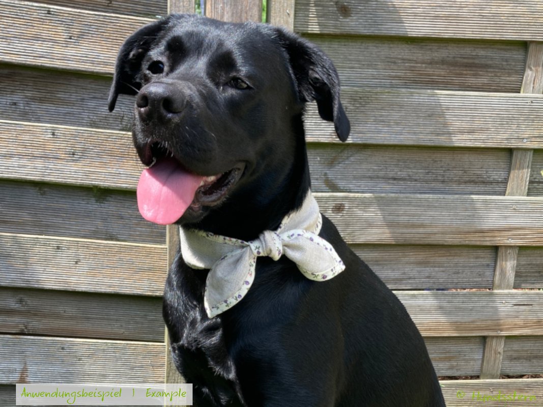 SOSCHA neckerchief for dogs &amp; scarf or hair band for owner. Sewing pattern